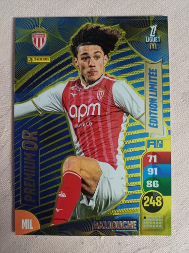 Panini adrenalyn ligue1 - adrenalyn,