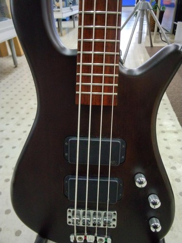 Warwick streamer std - warwick,
