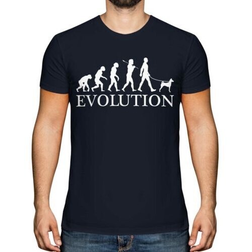 Basenji evolution homme - basenji, de
