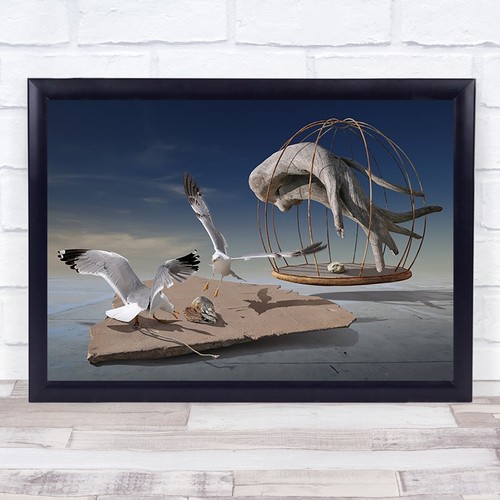 Edited concept cage birds - cage,