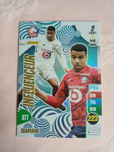 Panini adrenalyn ligue1 - panini,