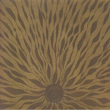 Willem Nyland - Piano Studies