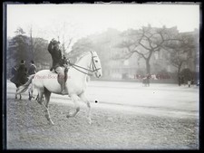 PARIS Homme à cheval au galop c1900 FRANCE Photo NEGATIVE Plaque Vintage Pn6