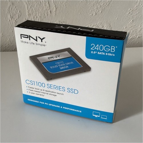 Pny cs1111 ssd interne - pny, go
