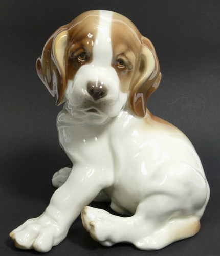 Chien saint bernard chiot - bernard,