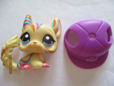 PETSHOP  CHINCHILLA N°1577 +