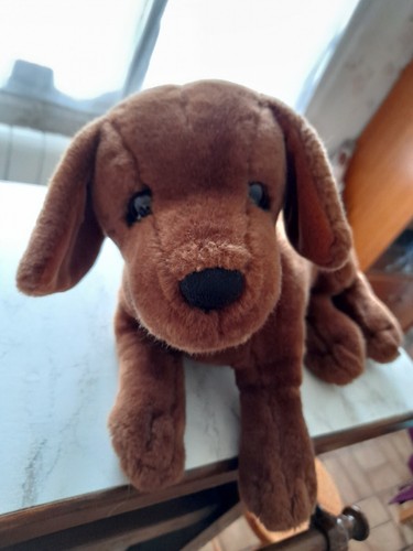 Peluche interactive chien - interactive,