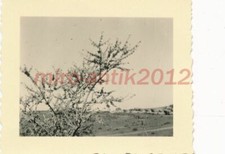 Photo, campagne des Balkans