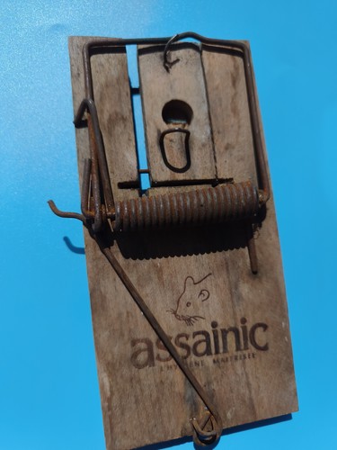 Ancien piège souris - ancien, bois
