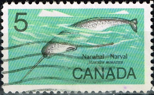 Canada fauna wild animals - canada,