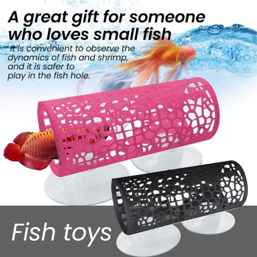 Betta fish tunnel aquarium - tunnel,