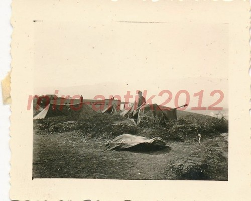 Photo campagne des - campagne, balkans