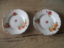 2 ASSIETTES  PORCELAINE DE