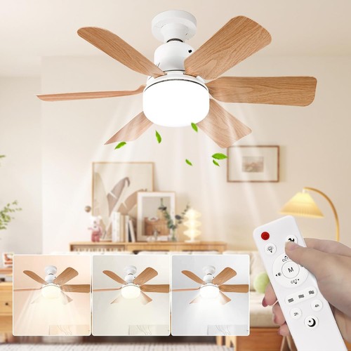 Ventilateur plafond 51cm