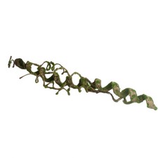  Décoration Pour Terrarium