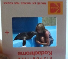 Diapositive d'agence (Slide) Brigitte BARDOT phoque Marineland 1976 DIAPO