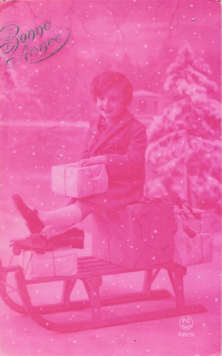Rose bonne annee - rose,