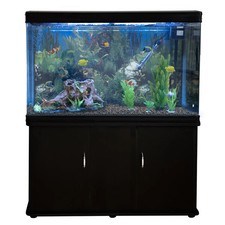 Aquarium à bords Noir avec Kit de Démarrage et Meuble de support Noir