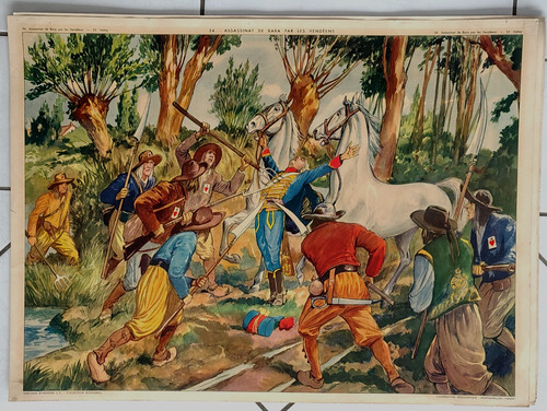 Affiche scolaire rossignol - affiche,