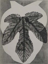 Pablo PICASSO : Diurnes