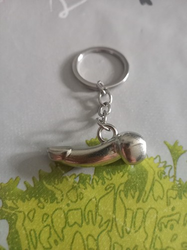 Porte clef - porte,