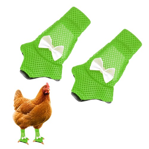 Chaussures pour poules - , en
