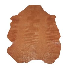 Peau entière de cuir de