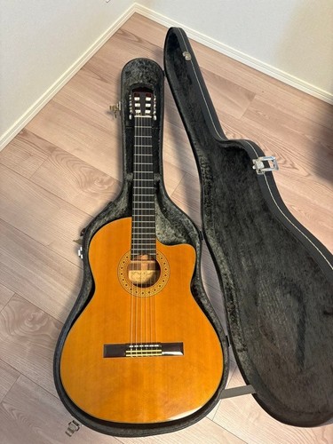 Guitare électrique acoustique