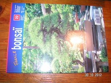 France Bonsaï n°22 Forme Ideale Petit Pin Genévrier