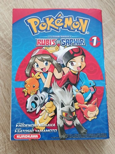 Livre manga pokémon grande - livre,