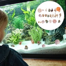  Coquillages De Réservoir