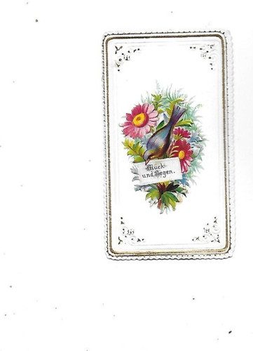 Chromo ancien canivet - ancien,
