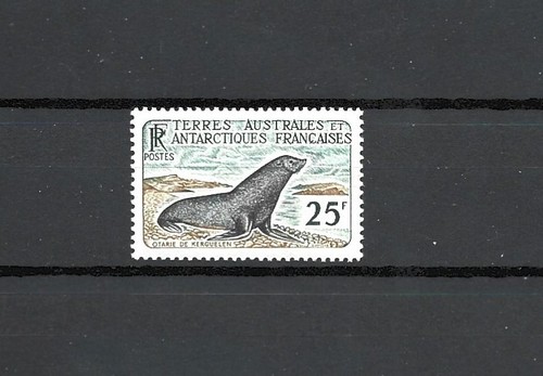Taaf faune otarie de - 20-,