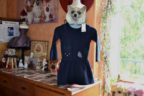 Robe catimini neuve ans - robe,