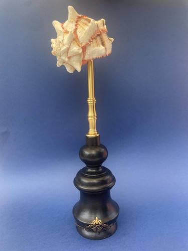 Objet curiosité - objet,