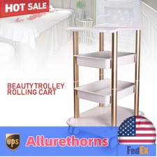 NEW Trolley Stand Assembled