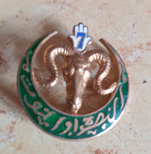 Insigne régiment de - insigne, 7°