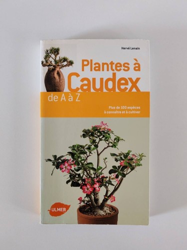 Plantes caudex à z - a,