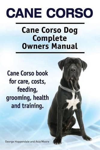 George hoppenda cane corso - george,