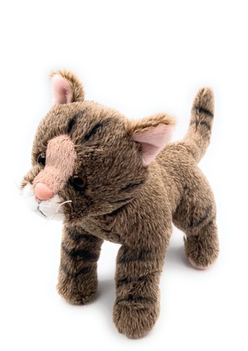Peluche jouet tissu - en, chat