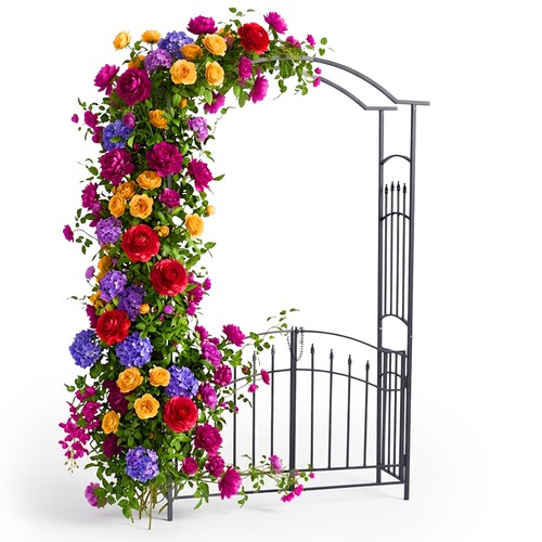 Arche roses - arche,