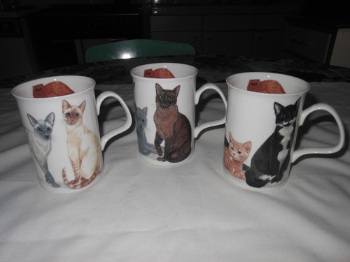 Mugs porcelaine roy - en,