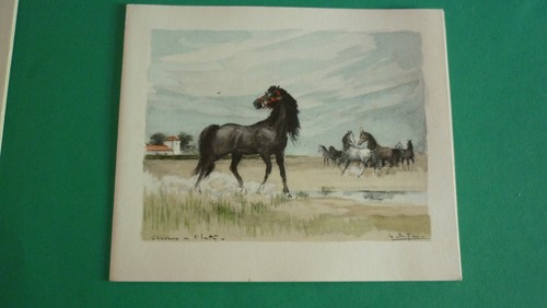 Aquarelle reproduction carte - aquarelle,