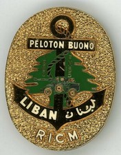 Peloton BUONO RICM Insigne