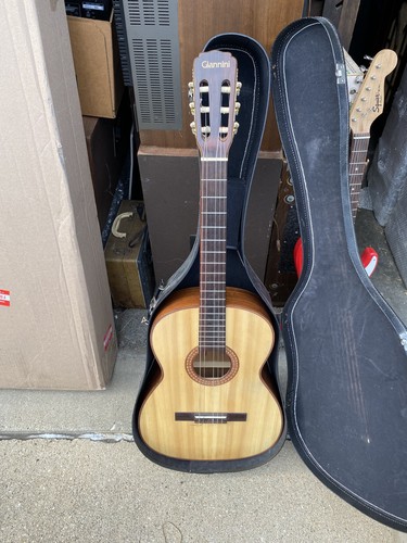 1970 giannini awn85 - giannini,