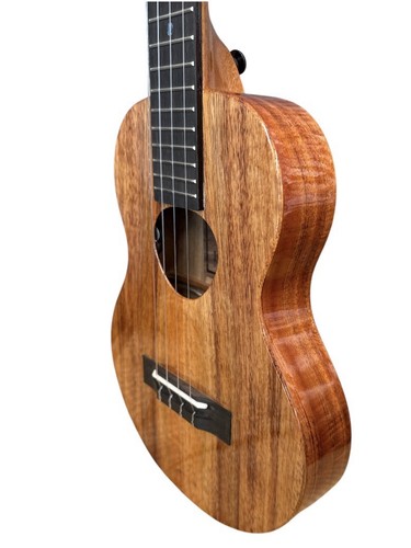Koaloha koa tenor - koa, line