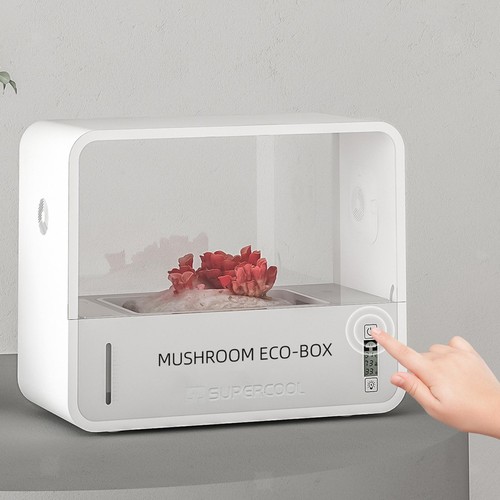 Chambre fructification de - de,