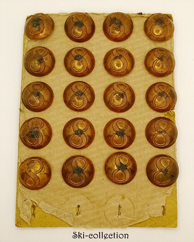 Lot boutons patte - lot, de