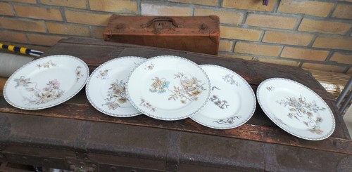 Lot assiettes plates - 5,