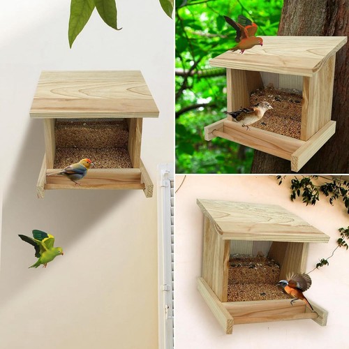 Mangeoire oiseaux bois - oiseaux,